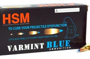 HSM 223 REM 55GR BLITZ KING - 20RD 25BX/CS
