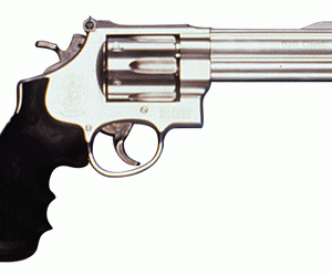 S&W 629 44MAG 5" AS 6-SHOT - STAINLESS STEEL RUBBER
