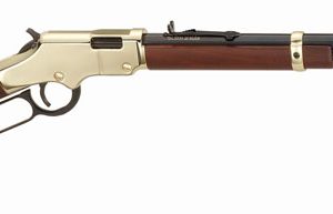 HENRY GOLDENBOY 22S/L/LR - 20" OCTAGON WALNUT