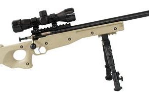 Crickett Precision Rifle .22lr  Pkg Includes Bipod Scope w/Shade & Rail