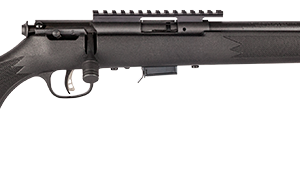 SAVAGE ARMS 93 BOLT 17HMR BL/SY 16.5" TB
