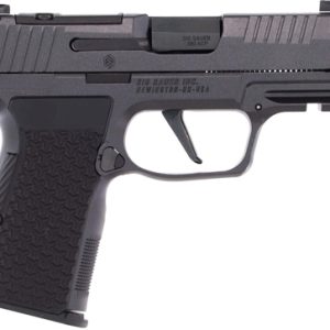 SIG P365 AXG LUXE 380ACP 3.1" - 2-PORT XRAY3 (3)12RD BLACK
